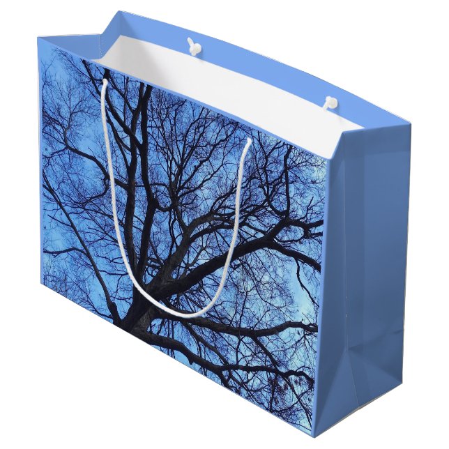 Träd mot en blå vinter Himlar - (Baksidan Vinklad)