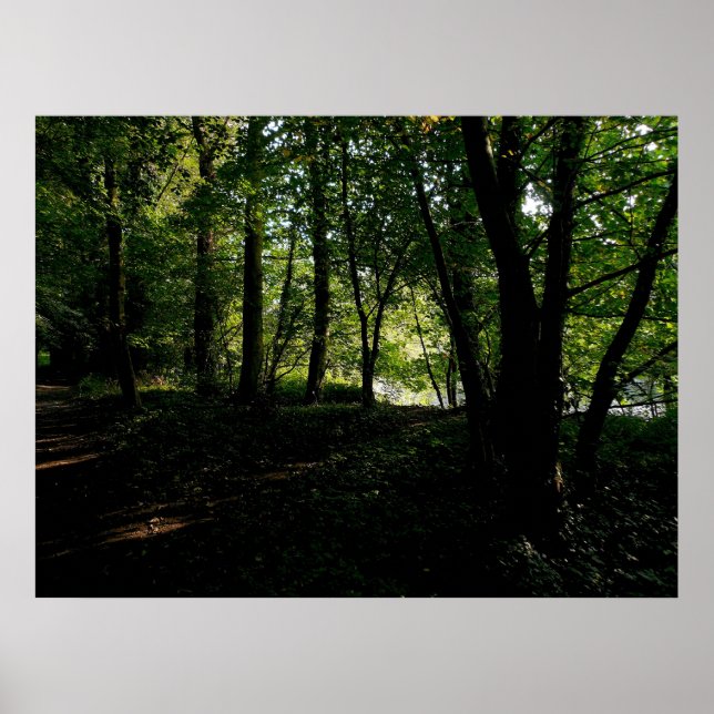 Träd nära floden poster (Framsidan)