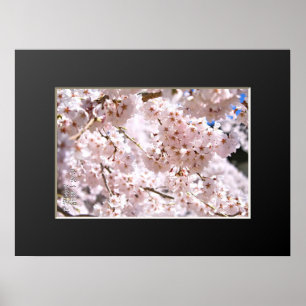 Träd ("Nara Ichiban-Zakura") Poster