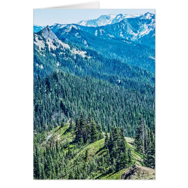 Träd och åsar OBS kort (Framsidan)