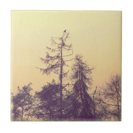 Träd och fåglar kakelplatta