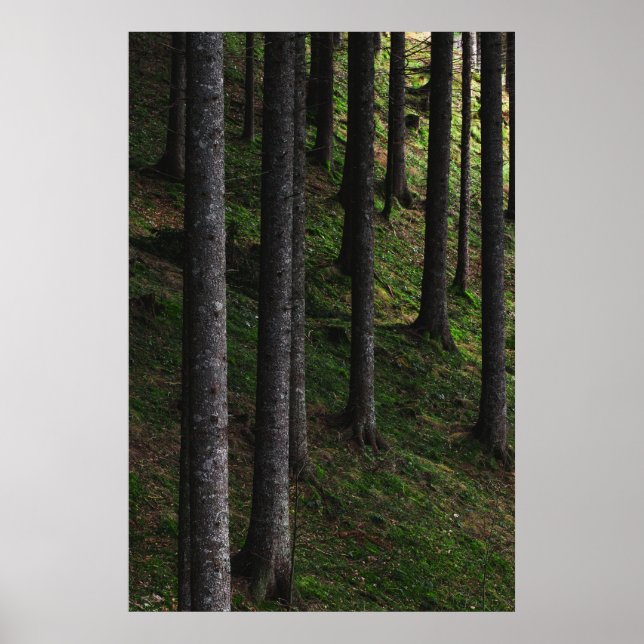 Träd och grönt poster (Framsidan)