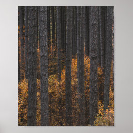 Träd och guld höstlöv poster