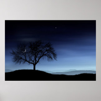 Träd och Måne Poster