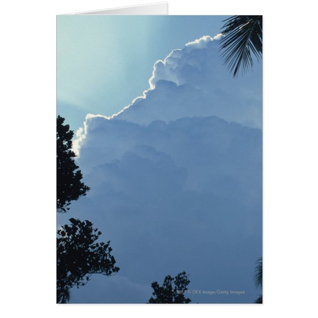 Träd och moln hälsningskort (Framsidan)