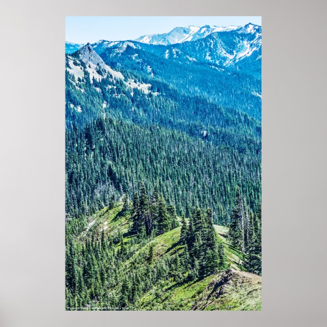 Träd och Ridges Poster (Framsidan)