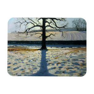 Träd och Shadow Calke Abbey Derbyshire Magnet