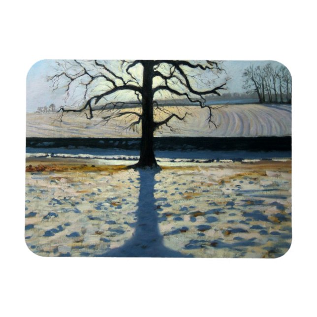 Träd och Shadow Calke Abbey Derbyshire Magnet (Horisontell)