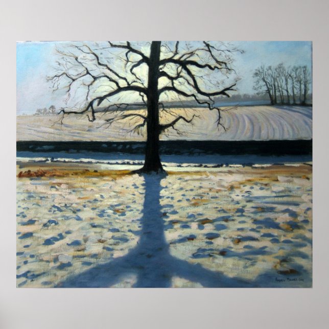 Träd och Shadow Calke Abbey Derbyshire Poster (Framsidan)