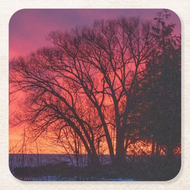 Träd och solnedgång Underlägg (Framsidan)