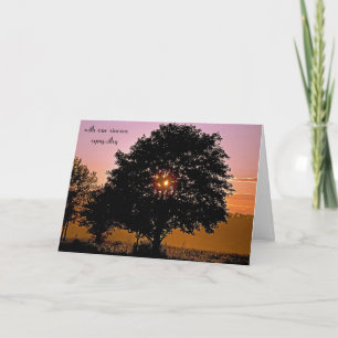 Träd och Sunset-sympati Kort