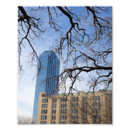 Träd och Tall Byggnad, Dallas, Texas Fototryck