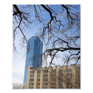 Träd och Tall Byggnad, Dallas, Texas Fototryck