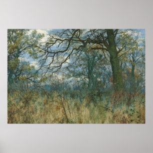 Träd och Undergrowth - William Fraser Garden Poster