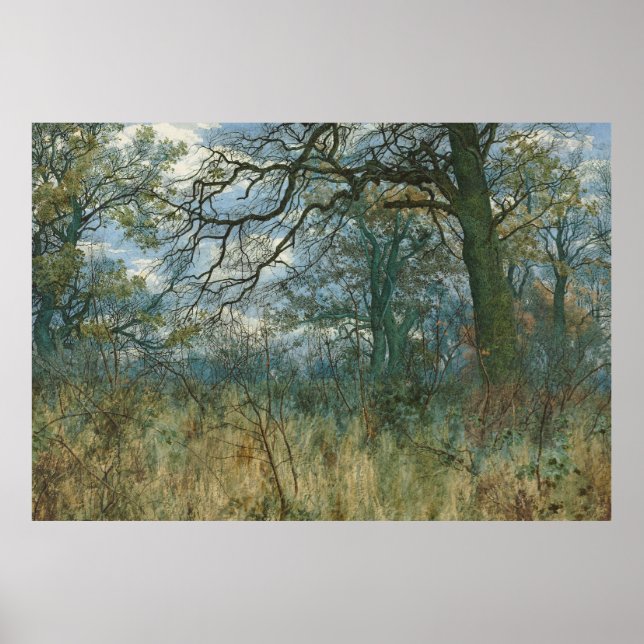 Träd och Undergrowth - William Fraser Garden Poster (Framsidan)