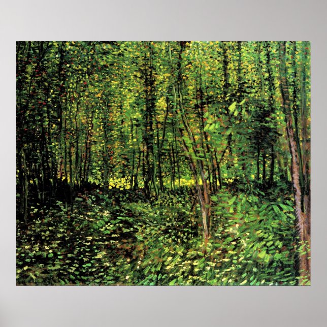 Träd och undertillväxt poster (Framsidan)
