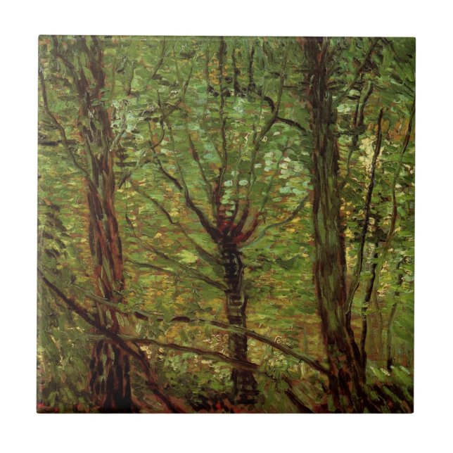 Träd och undervegetation av Vincent van Gogh Kakelplatta (Framsidan)