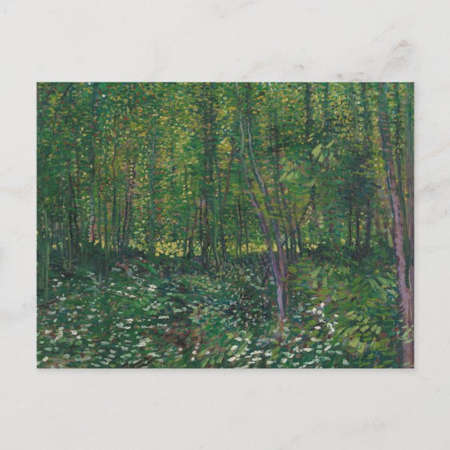 Träd och undervegetation av Vincent Van Gogh Vykort (Framsida)
