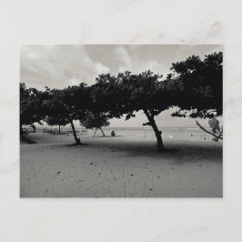 Träd om Sanur Beach på Bali Vykort