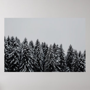 TRÄD OMFATTADE SNÖ UNDER CLOUDY HIMLAR POSTER