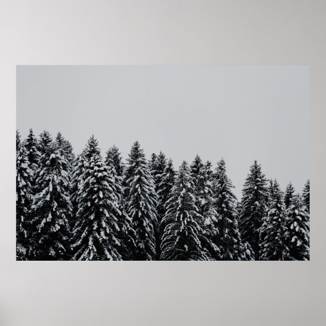 TRÄD OMFATTADE SNÖ UNDER CLOUDY HIMLAR POSTER (Framsidan)