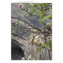 Träd över ett thatched tak - tomt kort