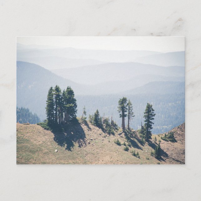 Träd Overlook Lassen | vykort (Framsida)