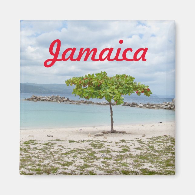 TRÄD PÅ AVSETT BEACH I JAMAICA MAGNET (Framsidan)