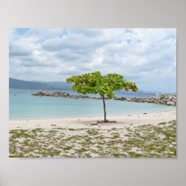 TRÄD PÅ AVSETT BEACH I JAMAICA POSTER