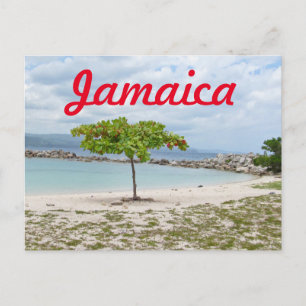 TRÄD PÅ AVSETT BEACH I JAMAICA VYKORT