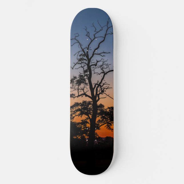 Träd på en solnedgångbakgrund skateboard bräda 21,5 cm (Framsida)