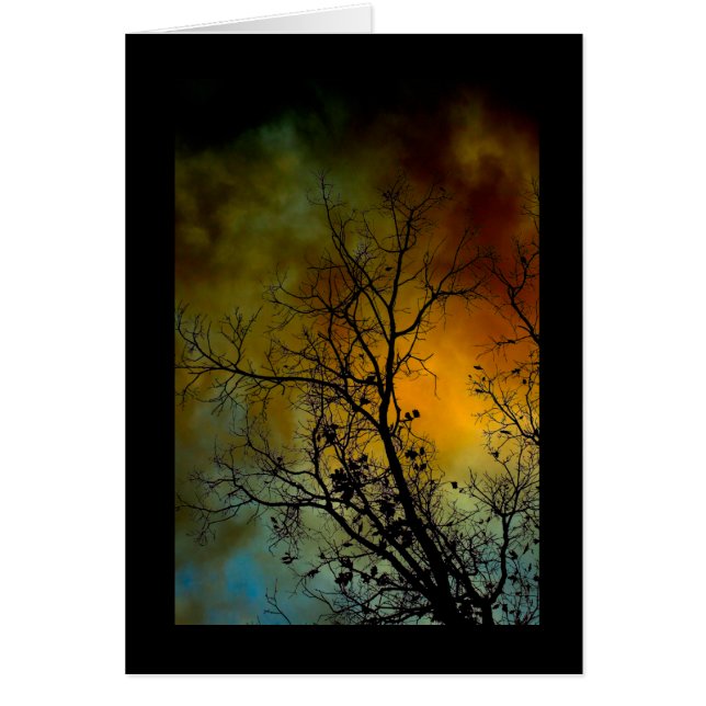träd på en stormmorgon hälsningskort (Framsidan)