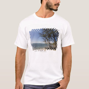 Träd på en strand Along kusten T-shirt