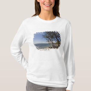 Träd på en strand Along kusten T-shirt