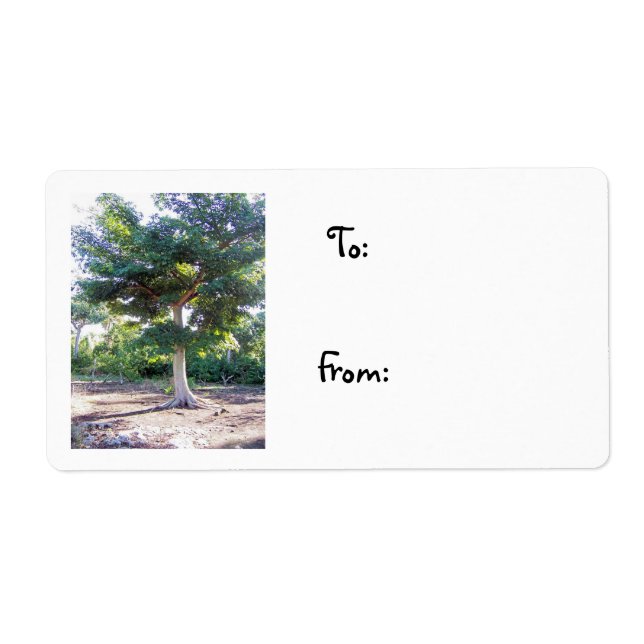 Träd på etiketten Wisdom-christmas Fraktsedel (Framsidan)