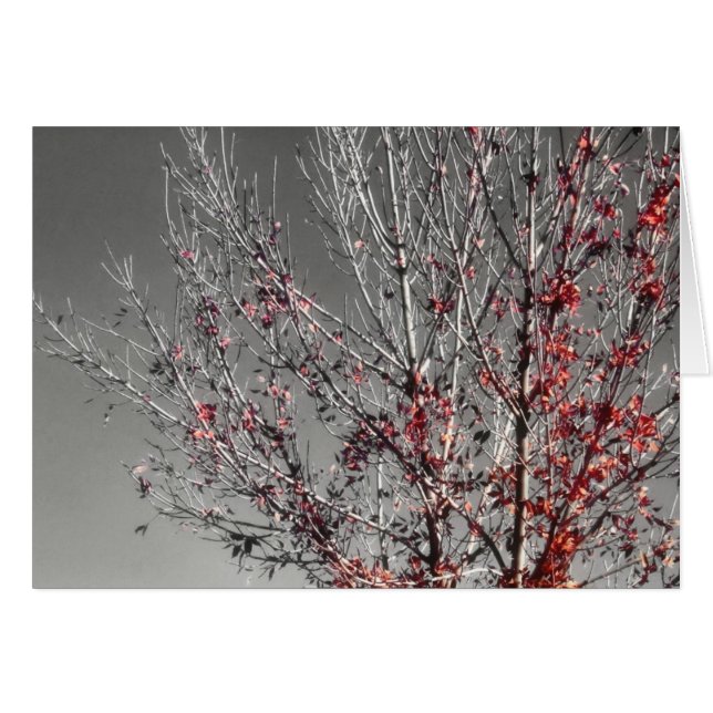 Träd på hoppkortet hälsningskort (Framsidan Horizontal)