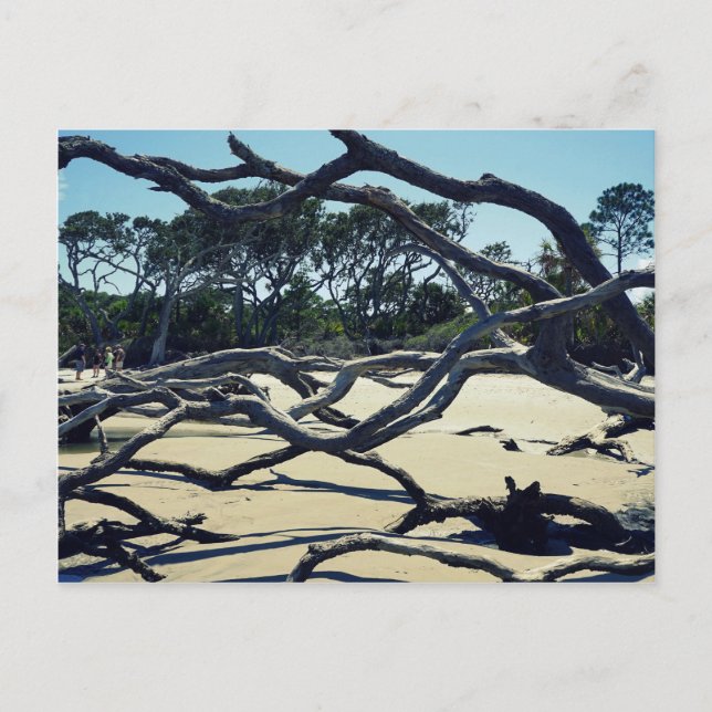 Träd på Jekyll Vykort (Framsida)