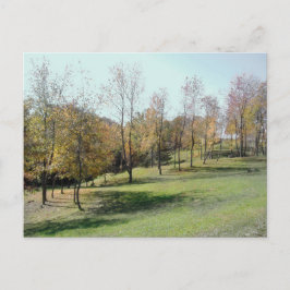 Träd på kortplats 2004 vykort