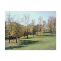 Träd på kortplats 2004