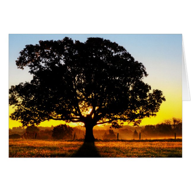 Träd på morgonen hälsningskort (Framsidan Horizontal)
