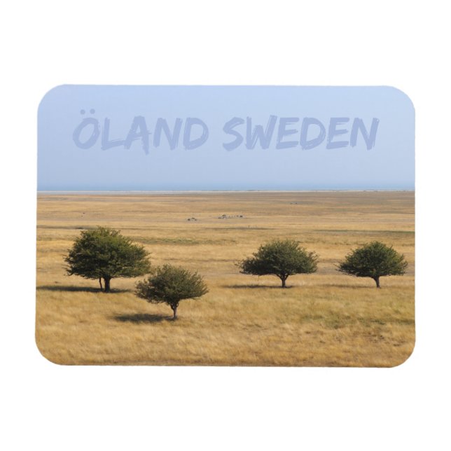 Träd på Savannah, Öland, Sverigen Magnet (Horisontell)