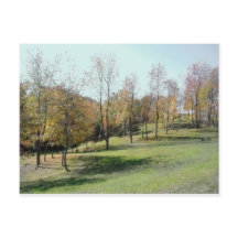 Träd på sluttning 2004 Foto Postkort
