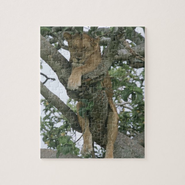 Träd (Panthera leo), drottning Pussel (Vertikal)