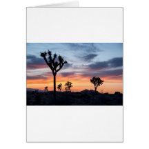 Träd Park Party personalize Destiny Destiny