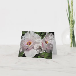 Träd Peonies Anteckningskort