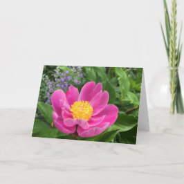 Träd Peony Blank Greeting Card Tack Kort