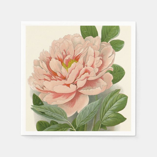 Träd Peony - Elegant Vintage Botaniskt utkast Pappersservett (Framsidan)