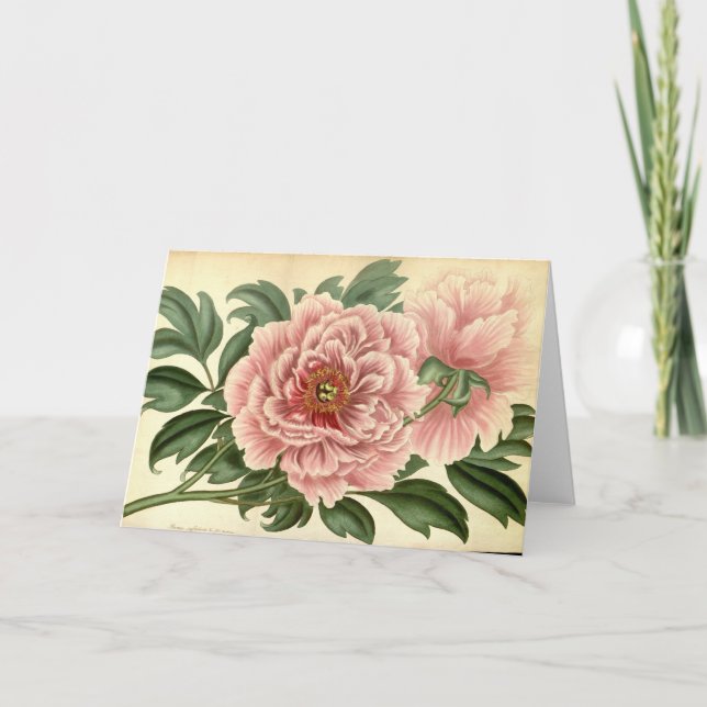 Träd Peony Vintage Note Card Kort (Framsida)