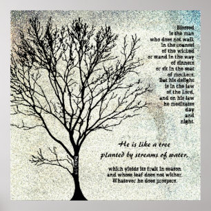 Träd Planerad av Streams Scripture Poster