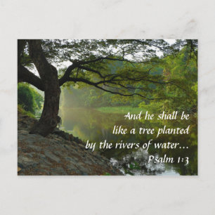 Träd planterad av floden, Psalm 1:3, Scripture Vykort